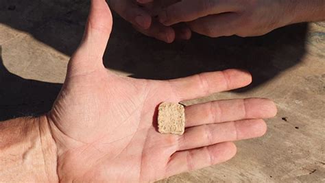The Mt Ebal Curse Tablet: A Powerful Artifact from the Biblical Era